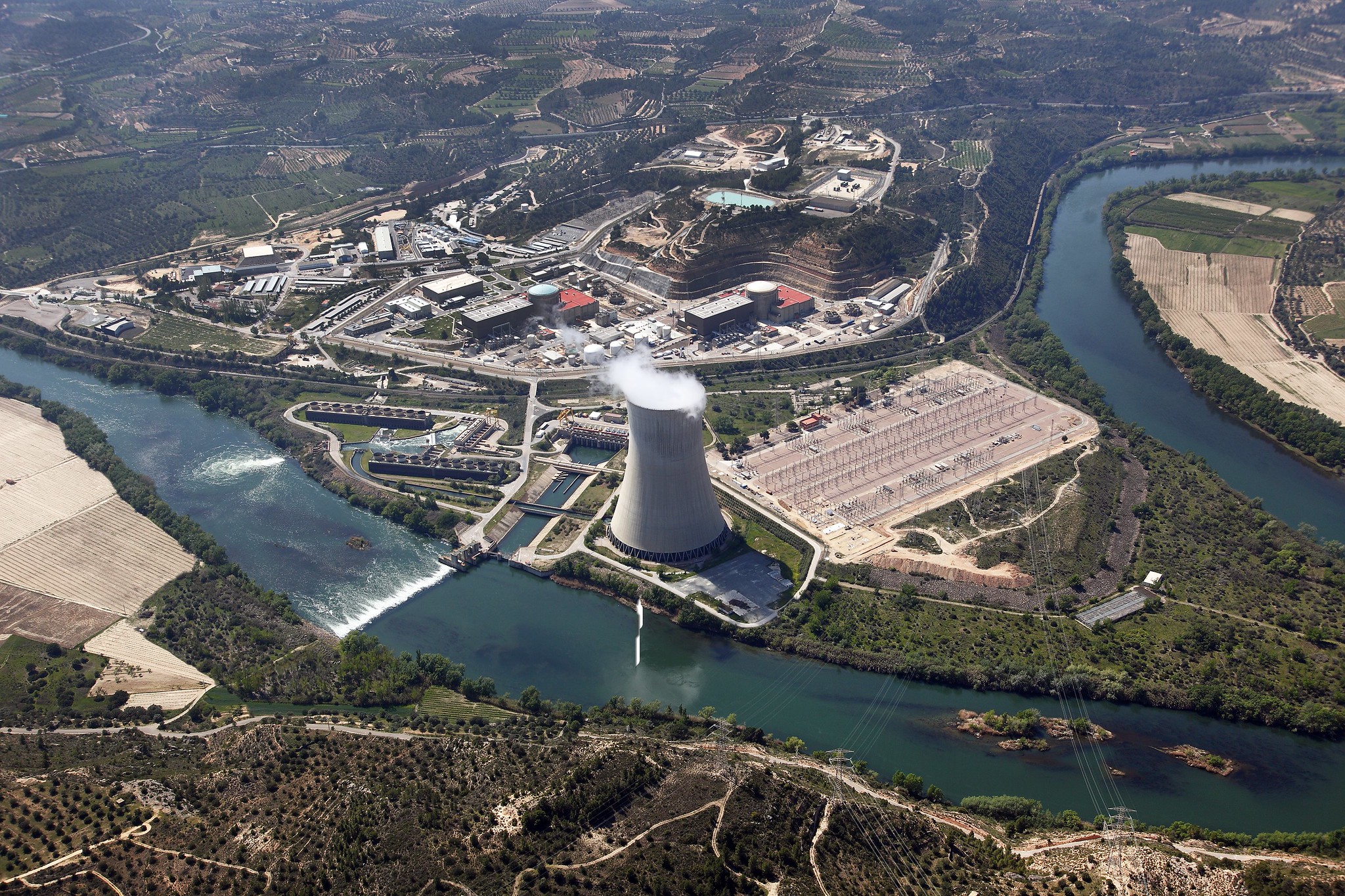 central nuclear asco